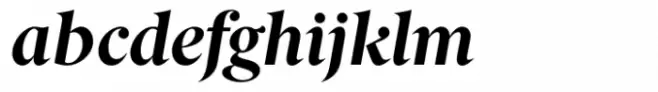 Berlingske Serif Std Bold Italic