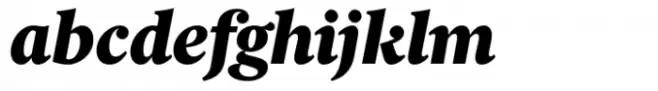 Berlingske Serif Text Std Black Italic