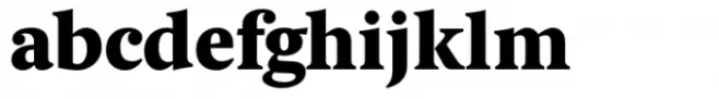 Berlingske Serif Text Std Black