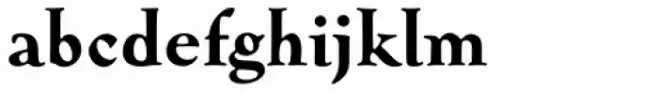FF Oneleigh OT Black