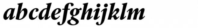 ID00 Serif Std Extrabold Italic