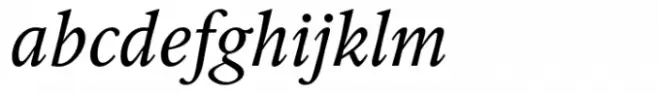 ID00 Serif Std Italic