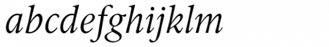 ID00 Serif Std Light Italic