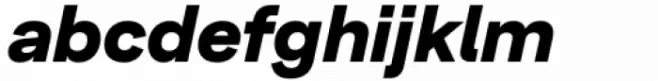Lens Grotesk Extra Bold Italic