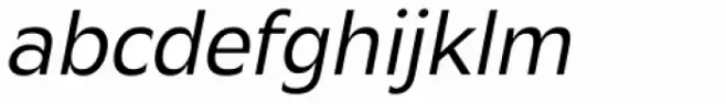 Mensa Book Italic