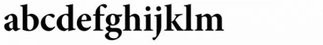 Minion Pro SubHead Bold