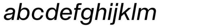 Neue Singular H Regular Italic