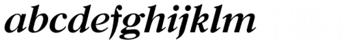 New Caslon B EF Bold Italic