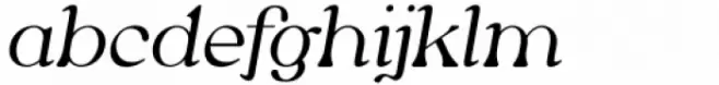 Newgate Light Italic