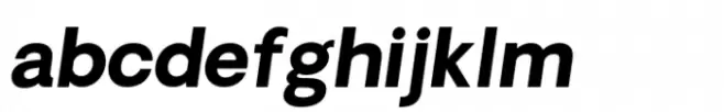 Oakes Grotesk Bold Italic