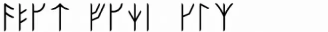 Ongunkan Sweden Futhark Regular