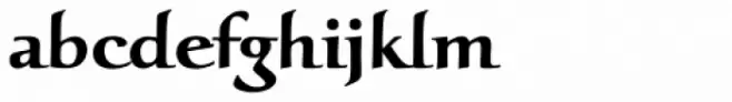 Oxalis Std Bold