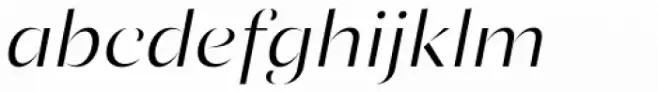 Ponzu Light Italic