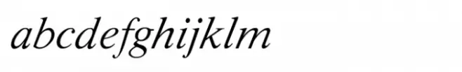 Shree Devanagari 3604 Italic