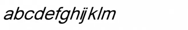 Shree Devanagari 4511 Italic