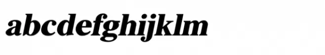 Shree Devanagari 4578 Italic