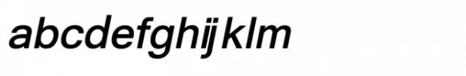 Shree Gujarati 3710 Italic