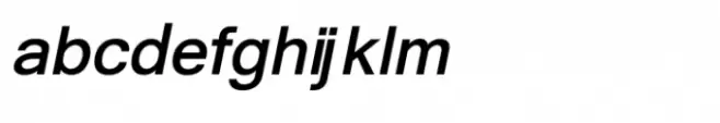 Shree Gujarati 3713 Italic