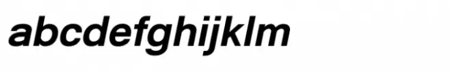 Shree Gujarati 3715 Italic