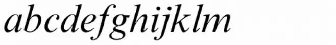 Times New Roman Std Italic