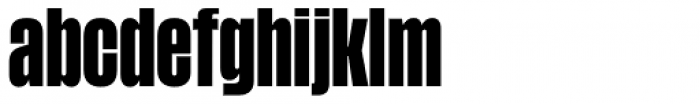 Tusker Grotesk 4700 Bold
